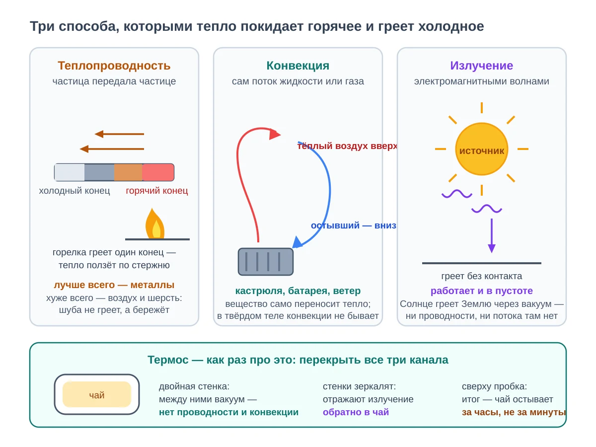 Три вида теплопередачи: слева металлический стержень с горячим концом у горелки и стрелками тепла, в центре батарея с кругом конвекции тёплый воздух вверх и остывший вниз, справа источник излучения с волнами к земле, внизу термос с двойной стенкой и вакуумом